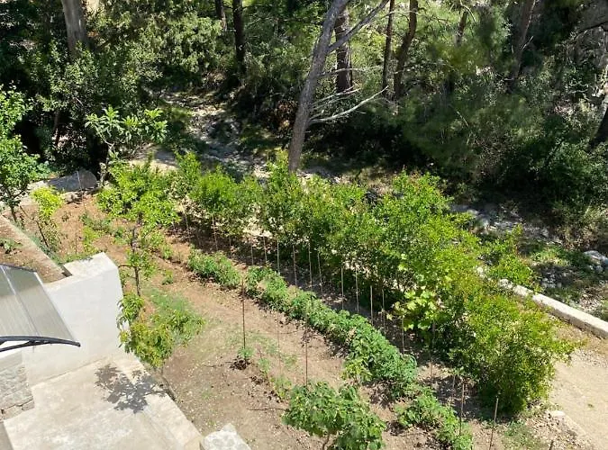 Vakantiehuis Nugal 2+2 Makarska