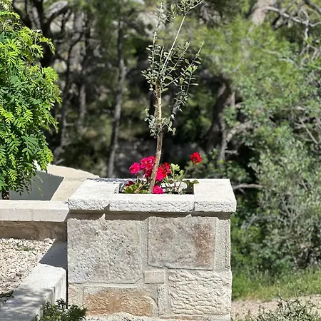 Vakantiehuis Nugal 2+2